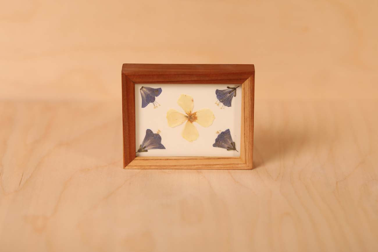Desert Bluebell & California Poppy