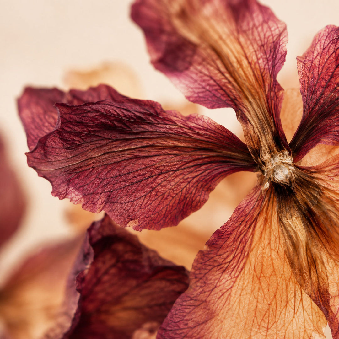 Botanicals