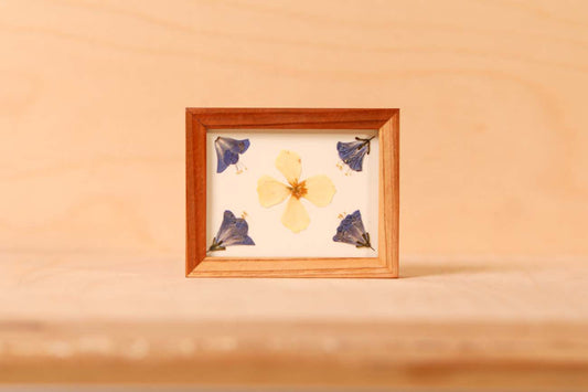 Desert Bluebell & California Poppy