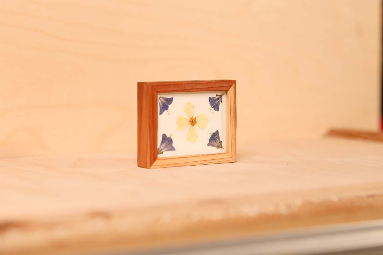 Desert Bluebell & California Poppy
