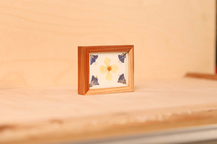 Desert Bluebell &amp; California Poppy
