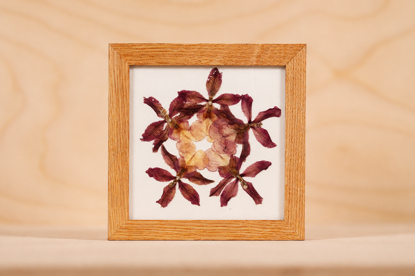 Intergenetic Orchid