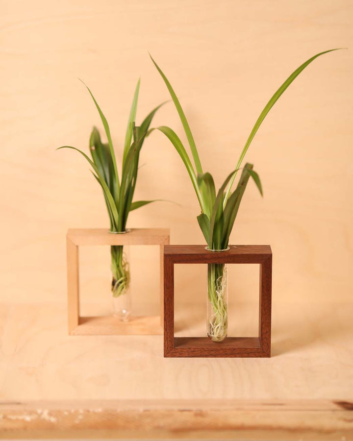Propagation Tubes